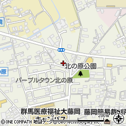 群馬県藤岡市藤岡766周辺の地図