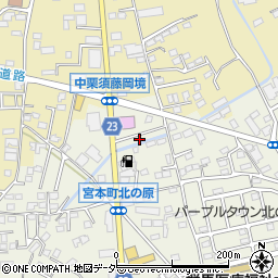 群馬県藤岡市藤岡920-10周辺の地図