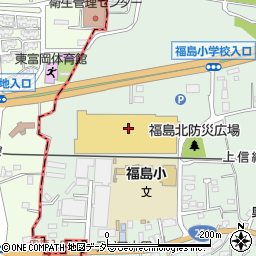 カインズオート　富岡甘楽店周辺の地図