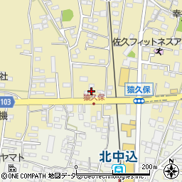 長野県佐久市猿久保780周辺の地図