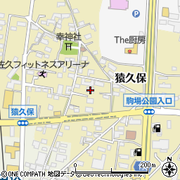 長野県佐久市猿久保859-1周辺の地図