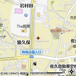長野県佐久市猿久保274-6周辺の地図