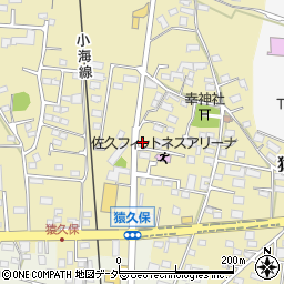 長野県佐久市猿久保799周辺の地図