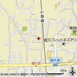 長野県佐久市猿久保462-5周辺の地図
