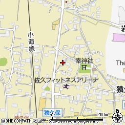 長野県佐久市猿久保803周辺の地図