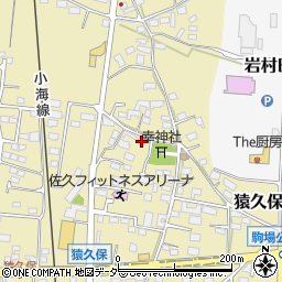 長野県佐久市猿久保836周辺の地図