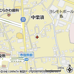 群馬県藤岡市中栗須225-9周辺の地図