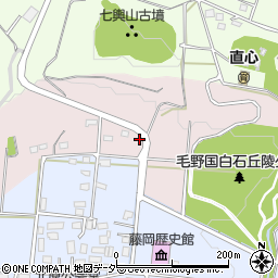 群馬県藤岡市三ツ木259-5周辺の地図