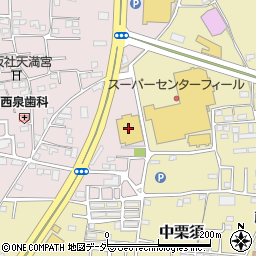 ホームセンターセキチュー藤岡インター店ＤＩＹ・資材館周辺の地図