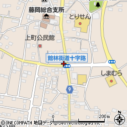 栃木県栃木市藤岡町藤岡1193周辺の地図