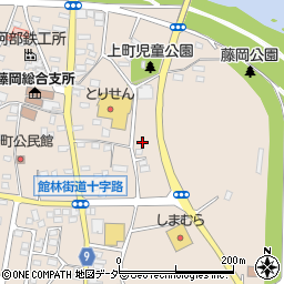 栃木県栃木市藤岡町藤岡1036周辺の地図