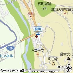 岐阜県大野郡白川村荻町1163周辺の地図