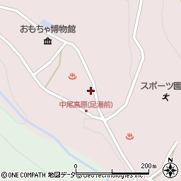 岐阜県高山市奥飛騨温泉郷中尾302周辺の地図