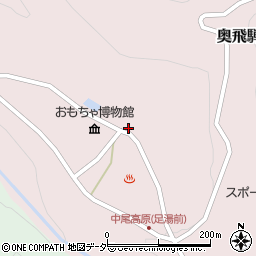 岐阜県高山市奥飛騨温泉郷中尾250周辺の地図
