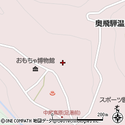 岐阜県高山市奥飛騨温泉郷中尾257周辺の地図