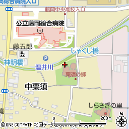 群馬県藤岡市中栗須532周辺の地図