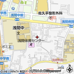 長野県佐久市岩村田西本町1342-9周辺の地図