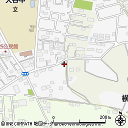 栃木県小山市横倉新田9-29周辺の地図