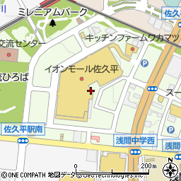 〒385-0029 長野県佐久市佐久平駅南の地図