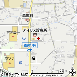 群馬県藤岡市森264周辺の地図