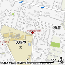 栃木県小山市横倉新田262-9周辺の地図