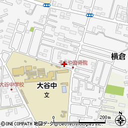 栃木県小山市横倉新田262-7周辺の地図