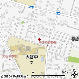 栃木県小山市横倉新田262-1周辺の地図