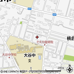 栃木県小山市横倉新田262周辺の地図