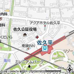 長野県佐久市佐久平駅北24周辺の地図