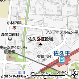 長野県佐久市佐久平駅北27-6周辺の地図