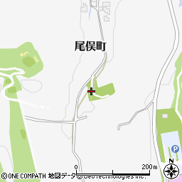 石川県加賀市尾俣町ワ周辺の地図