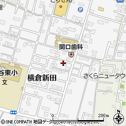 栃木県小山市横倉新田285-46周辺の地図