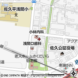 長野県佐久市佐久平駅北19周辺の地図