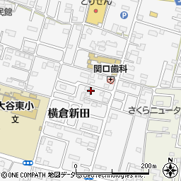 栃木県小山市横倉新田285-52周辺の地図