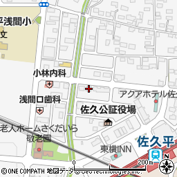 長野県佐久市佐久平駅北22周辺の地図