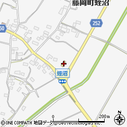 栃木県栃木市藤岡町蛭沼1617周辺の地図