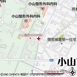 栃木県小山市横倉新田141周辺の地図