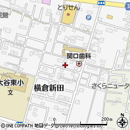 栃木県小山市横倉新田285-9周辺の地図