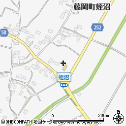 栃木県栃木市藤岡町蛭沼1517周辺の地図