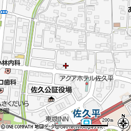 長野県佐久市佐久平駅北11周辺の地図
