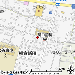 栃木県小山市横倉新田285-48周辺の地図