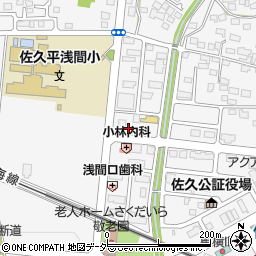 長野県佐久市佐久平駅北18周辺の地図