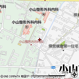 栃木県小山市横倉新田155-17周辺の地図