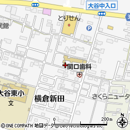 栃木県小山市横倉新田287-11周辺の地図