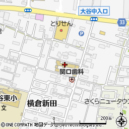 栃木県小山市横倉新田287-10周辺の地図