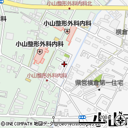 栃木県小山市横倉新田155周辺の地図