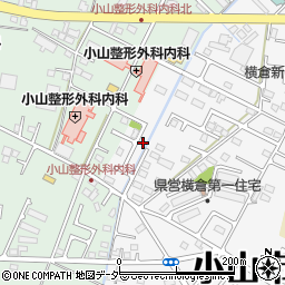 栃木県小山市横倉新田155-9周辺の地図