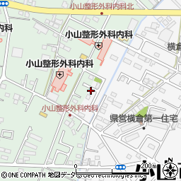 栃木県小山市横倉新田155-22周辺の地図