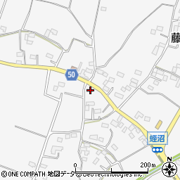 栃木県栃木市藤岡町蛭沼1462-7周辺の地図