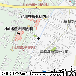 栃木県小山市横倉新田155-8周辺の地図